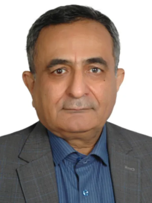 حمید صارمی